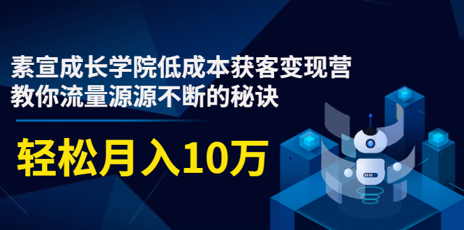 素宣成长学院低成本获客变现营，教你流量源源不断的秘诀，轻松月入10万-52资源库