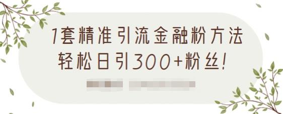 1套精准引流金融粉方法，轻松日引300+粉丝-52资源库