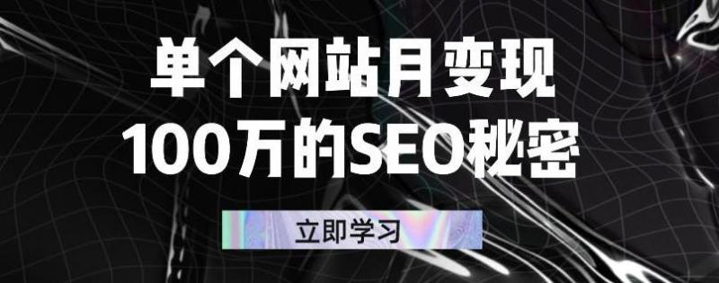 单个网站月变现100万的SEO秘密，百分百做出赚钱站点-52资源库