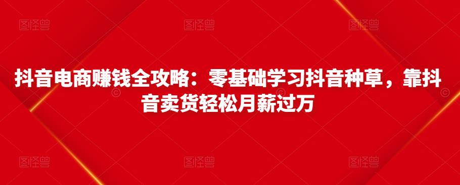 抖音电商赚钱全攻略：零基础学习抖音种草，靠抖音卖货轻松月薪过万-52资源库