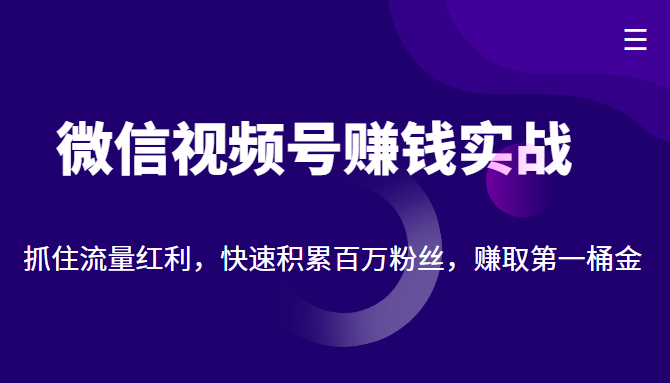 微信视频号赚钱实战：抓住流量红利，快速积累百万粉丝，赚取你的第一桶金-52资源库