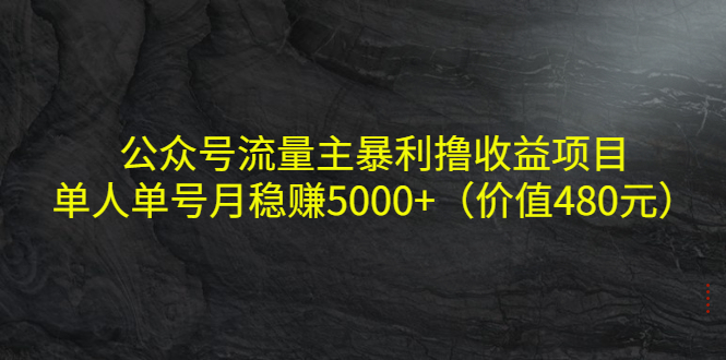 公众号流量主暴利撸收益项目，单人单号月稳赚5000+（价值480元）-52资源库