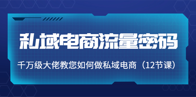 私域电商流量密码：千万级大佬教您如何做私域电商（12节课）-52资源库