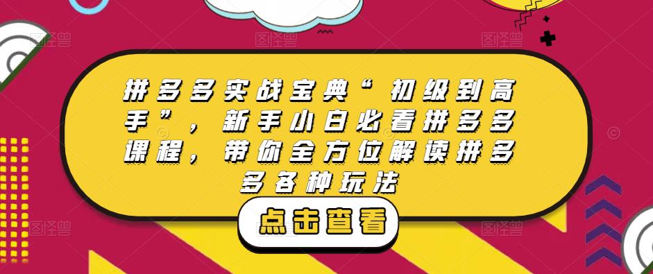 拼多多实战宝典“初级到高手”，新手小白必看拼多多课程，带你全方位解读拼多多各种玩法-52资源库