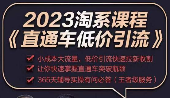 2023直通车低价引流玩法课程，小成本大流量，低价引流快速拉新收割，让你快速掌握直通车突破瓶颈-52资源库