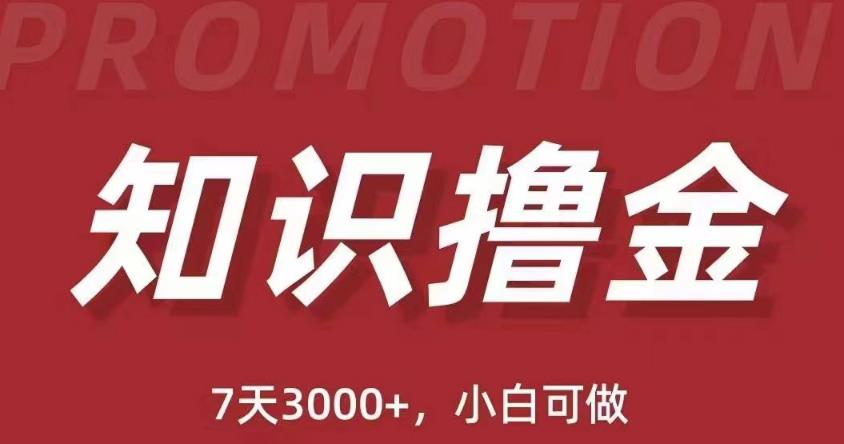 抖音知识撸金项目：简单粗暴日入1000+执行力强当天见收益(教程+资料)-52资源库