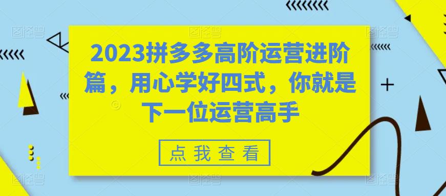 2023拼多多高阶运营进阶篇，用心学好四式，你就是下一位运营高手-52资源库