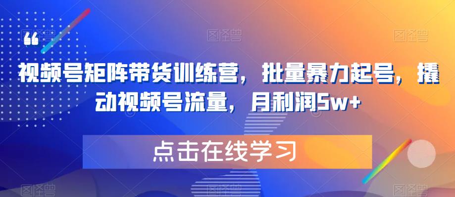 视频号矩阵带货训练营，批量暴力起号，撬动视频号流量，月利润5w+-52资源库