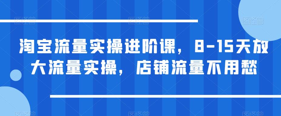 淘宝流量实操进阶课，8-15天放大流量实操，店铺流量不用愁-52资源库