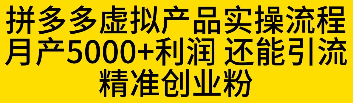 拼多多虚拟产品实操流程，月产5000+利润，还能引流精准创业粉【揭秘】-52资源库