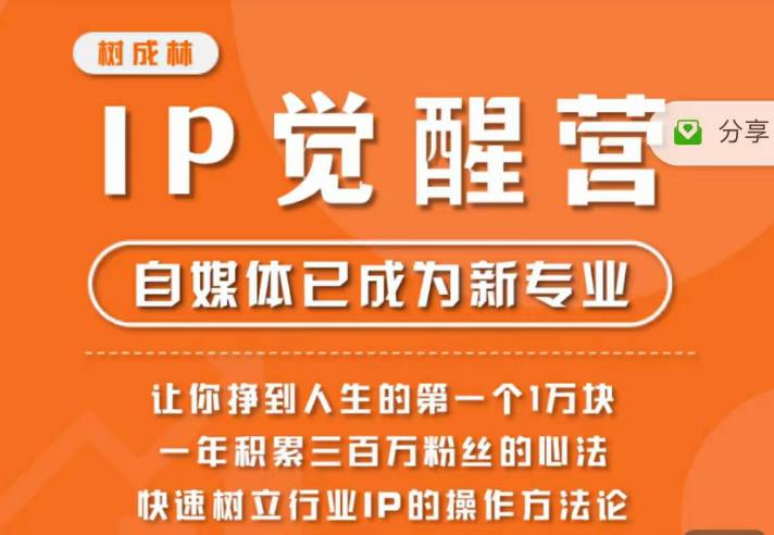 树成林·IP觉醒营，快速树立行业IP的操作方法论，让你赚到人生的第一个1万块（更新）-52资源库