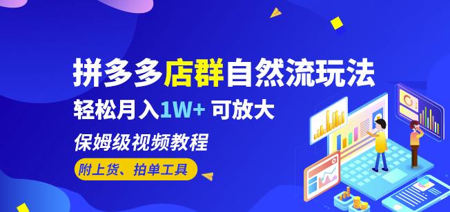 拼多多店群自然流玩法，轻松月入1W+保姆级视频教程（附上货、拍单工具）-52资源库