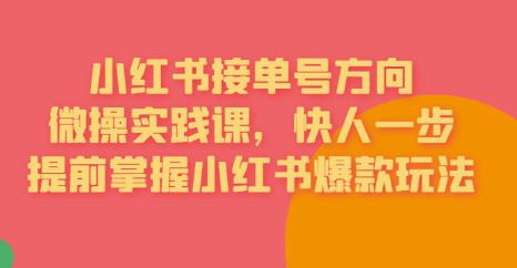 接单号方向·小红书微操实践课，快人一步，提前掌握小红书爆款玩法-52资源库