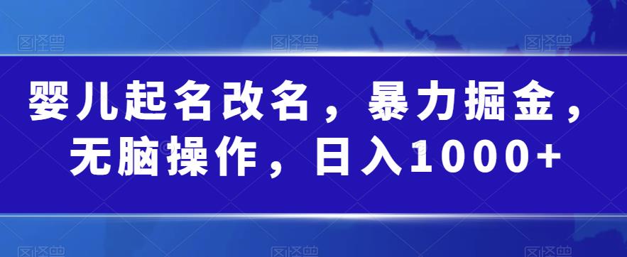 婴儿起名改名，暴力掘金，无脑操作，日入1000+【揭秘】-52资源库