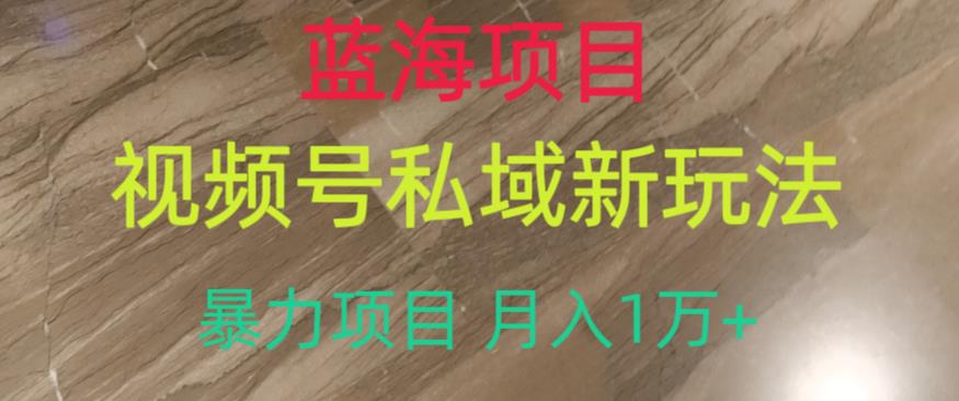 蓝海项目，视频号私域新玩法，暴力项目月入1万+【揭秘】-52资源库