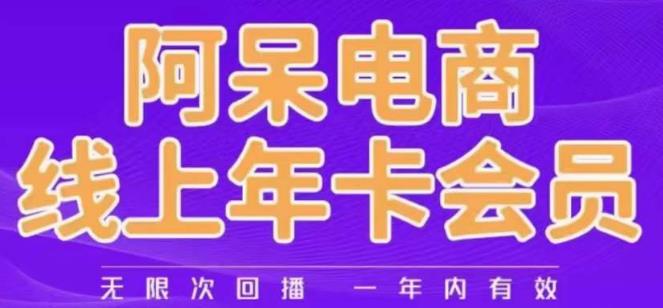 阿呆电商线上年会员，阿呆电商干货分享（更新中）-52资源库