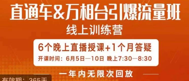 直通车&万相台引爆流量班，6天打通你开直通车·万相台的任督二脉-52资源库