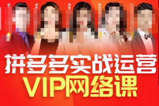 推易拼多多VIP全套直播课程，拼多多店铺实操玩法+实战玩法选款内功+直通车高阶等-52资源库