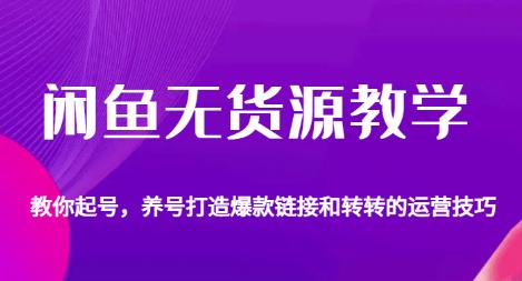 闲鱼无货源教学，教你起号，养号打造爆款链接以及转转的运营技巧-52资源库