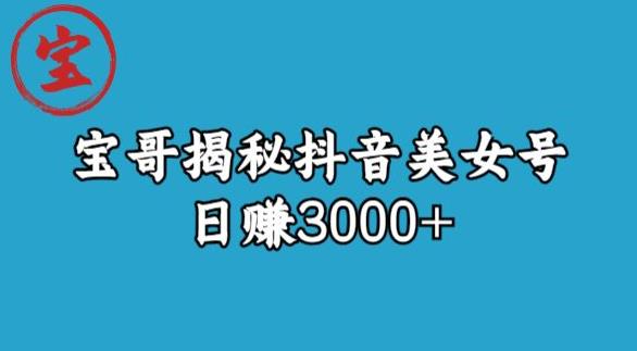 宝哥揭秘抖音美女号玩法，日赚3000+【揭秘】-52资源库