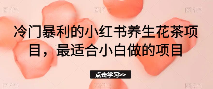 冷门暴利的小红书养生花茶项目，最适合小白做的项目【揭秘】-52资源库