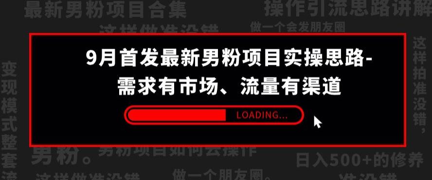 9月首发最新男粉项目实操思路-需求有市场，流量有渠道【揭秘】-52资源库