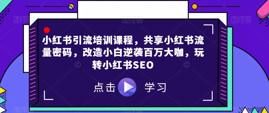 小红书引流培训课程，共享小红书流量密码，改造小白逆袭百万大咖，玩转小红书SEO-52资源库