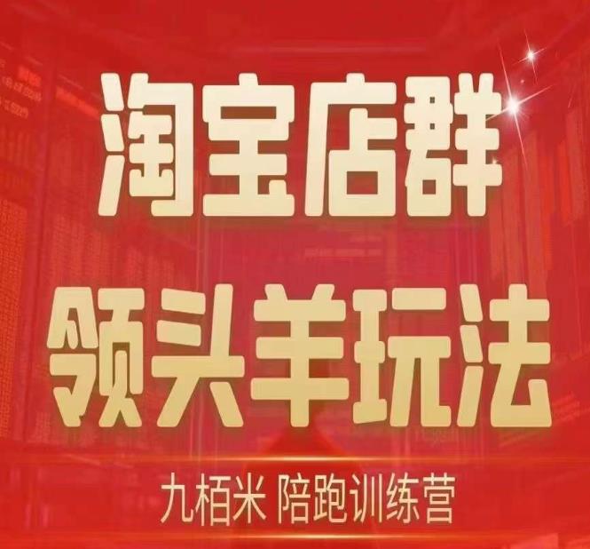 九栢米-淘宝店群领头羊玩法，教你整个淘宝店群领头羊玩法以及精细化/终极蓝海/尾销等内容-52资源库