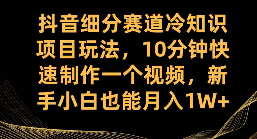 抖音细分赛道冷知识项目玩法，10分钟快速制作一个视频，新手小白也能月入1W+【揭秘】-52资源库