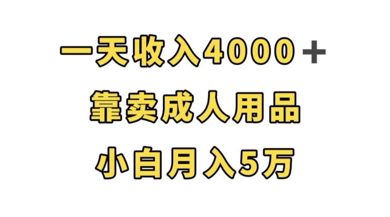 一天收入4000+，靠卖成人用品，小白轻松月入5万【揭秘】-52资源库