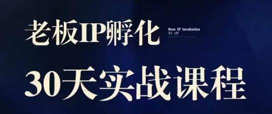 诸葛·2023老板IP实战课，实体同城引流获客，IP孵化必听-52资源库