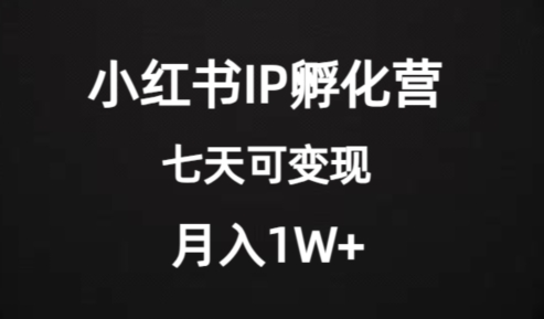 价值2000+的小红书IP孵化营项目，超级大蓝海，七天即可开始变现，稳定月入1W+-52资源库