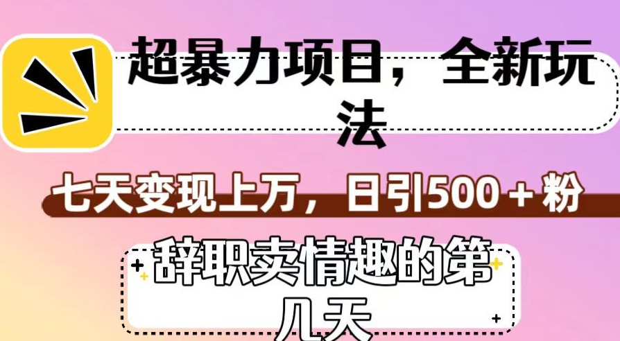 超暴利项目，全新玩法（辞职卖情趣的第几天），七天变现上万，日引500+粉【揭秘】-52资源库