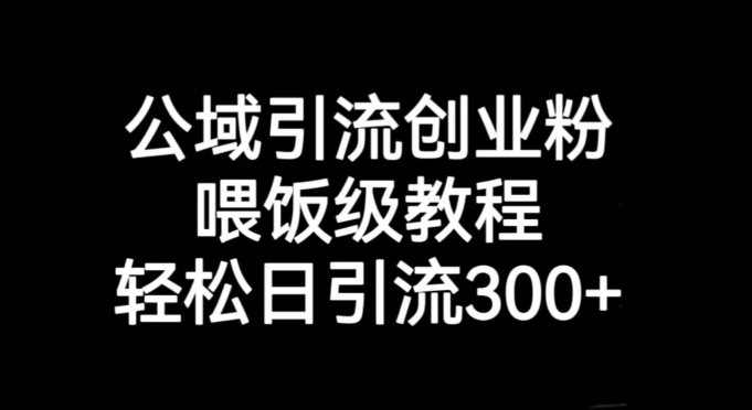 公域引流创业粉，喂饭级教程，轻松日引流300+【揭秘】-52资源库