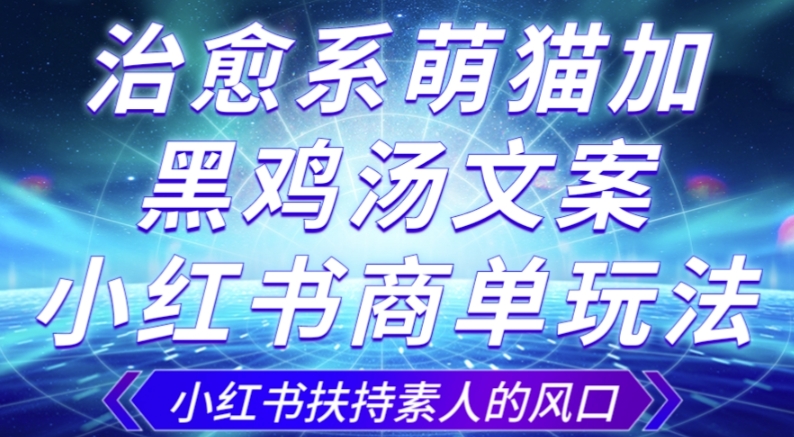 治愈系萌猫加+黑鸡汤文案，小红书商单玩法，3~10天涨到1000粉，一单200左右-52资源库