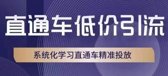 直通车低价引流课，系统化学习直通车精准投放-52资源库