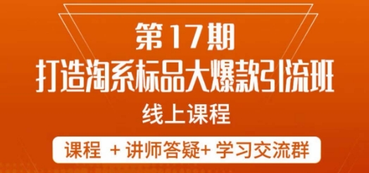 南掌柜-第17期打造淘系标品大爆款，5天线上课-52资源库