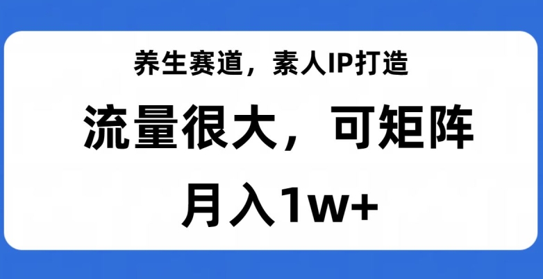 养生赛道，素人IP打造，流量很大，可矩阵，月入1w+【揭秘】-52资源库