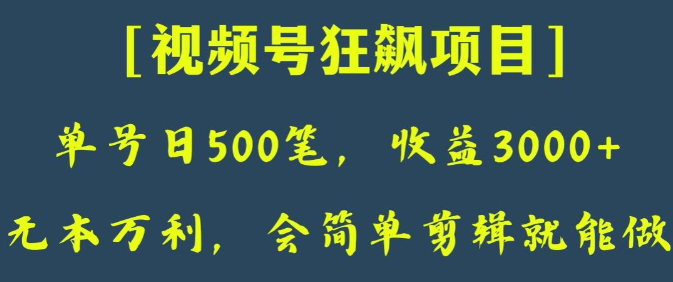 日收款500笔，纯利润3000+，视频号狂飙项目，会简单剪辑就能做【揭秘】-52资源库