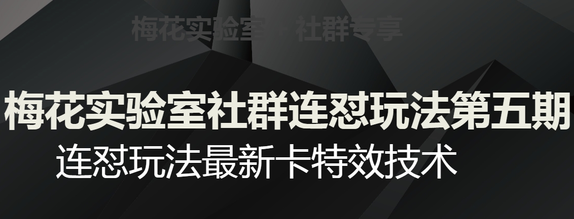 梅花实验室社群连怼玩法第五期，视频号连怼玩法最新卡特效技术-52资源库