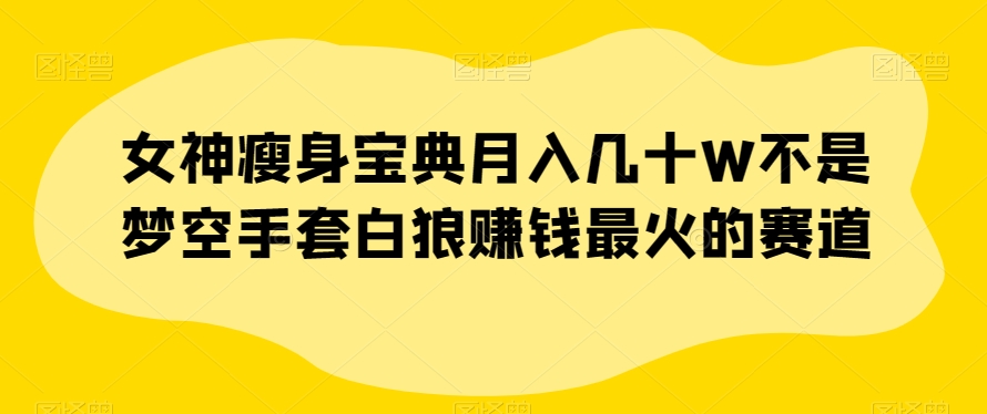 女神瘦身宝典月入几十W不是梦空手套白狼赚钱最火的赛道【揭秘】-52资源库