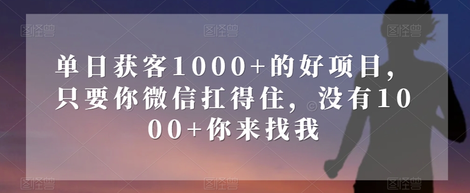 单日获客1000+的好项目，只要你微信扛得住，没有1000+你来找我【揭秘】-52资源库