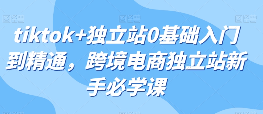 tiktok+独立站0基础入门到精通，跨境电商独立站新手必学课-52资源库