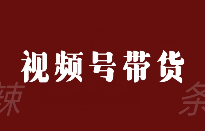 视频号带货联盟，赚信息差的带货钱，只需手机随时随地都可以做！-52资源库