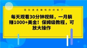 每天观看30分钟视频，一月躺赚1000+美金！保姆级教程，可放大操作【揭秘】-52资源库