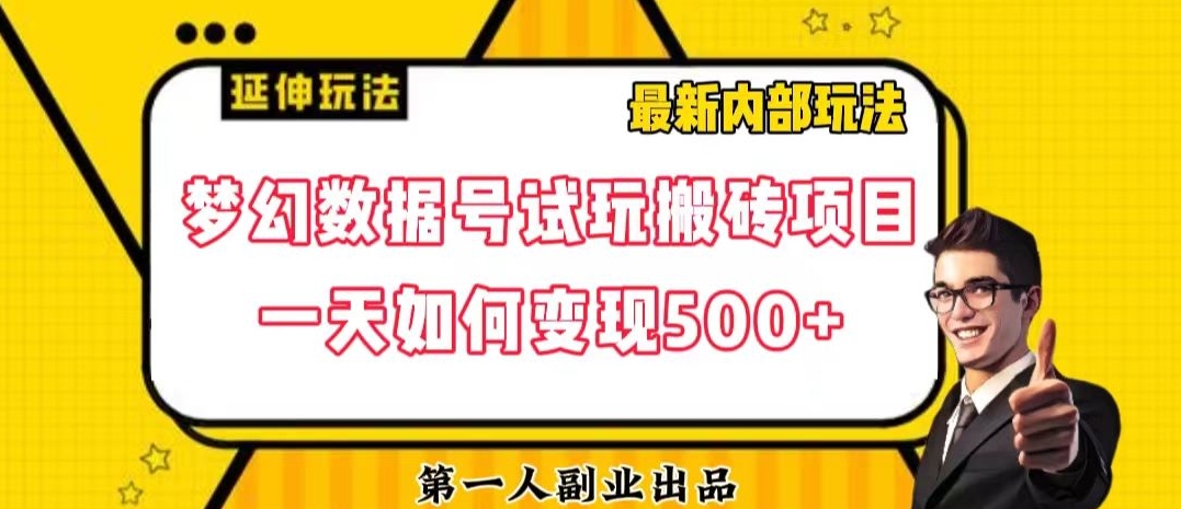 数据号回归玩法游戏试玩搬砖项目再创日入500+【揭秘】-52资源库