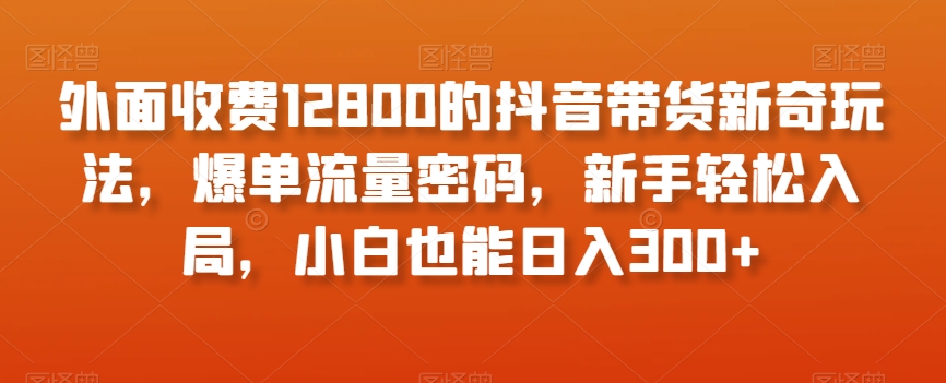 外面收费12800的抖音带货新奇玩法，爆单流量密码，新手轻松入局，小白也能日入300+【揭秘】-52资源库