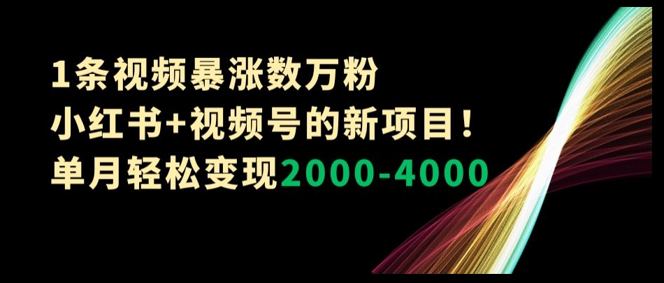 1条视频暴涨数万粉–小红书+视频号的新项目！单月轻松变现2000-4000【揭秘】-52资源库