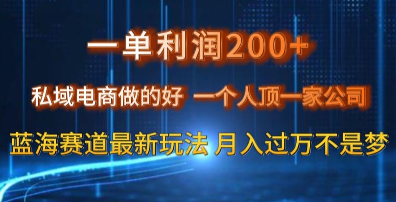 一单利润200私域电商做的好，一个人顶一家公司蓝海赛道最新玩法【揭秘】-52资源库