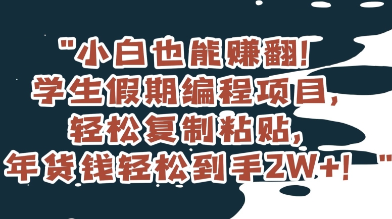 小白也能赚翻！学生假期编程项目，轻松复制粘贴，年货钱轻松到手2W+【揭秘】-52资源库